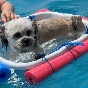 Meet your Posher, Leah